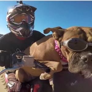 Meet your Posher, Jeff